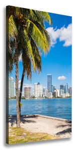 Vertikálny foto obraz tlačený na plátne Miami