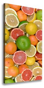 Vertikálny foto obraz na plátne Citrusové ovocie