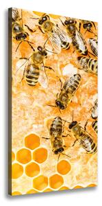 Vertikálny foto obraz na plátne Pracujúce včely