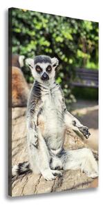 Vertikálny foto obraz tlačený na plátne Lemur