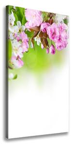 Vertikálny foto obraz na plátne Jarné kvety ocv-79458656