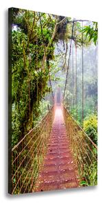 Vertikálny foto obraz canvas Visiace most ocv-79141355