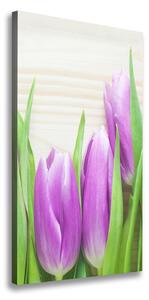 Vertikálny foto obraz na plátne Fialové tulipány