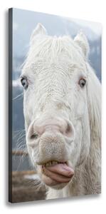 Vertikálny foto obraz na plátne Šialený biely kôň