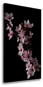 Vertikálny foto obraz canvas Kvety višne ocv-80647628