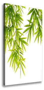Vertikálny foto-obraz canvas do obývačky Bambus lístia
