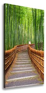 Vertikálny foto obraz na plátne Bambusový les