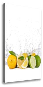 Vertikálny moderný obraz canvas na ráme Citrusy