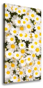 Vertikálny foto obraz na plátne Kvety semikrásky