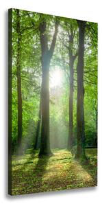 Vertikálny foto obraz na plátne Slnko v lese ocv-83761182
