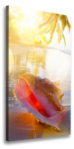 Vertikálny foto obraz na plátne Mušle na pláži