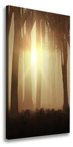 Vertikálny foto obraz canvas Hmla v lese ocv-84176608