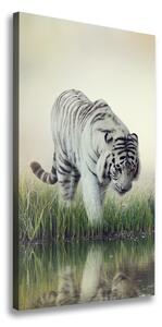 Vertikálny foto obraz canvas Biely tiger ocv-84071201