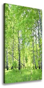Vertikálny foto obraz canvas Brezový les ocv-84161730