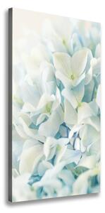 Vertikálny foto obraz na plátne Kvet hortenzie