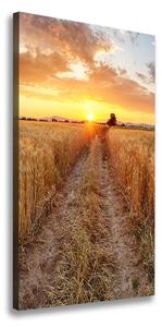 Vertikálny foto obraz na plátne Pole pšenice ocv-86490095