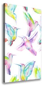 Vertikálny foto obraz na plátne Farební kolibríky