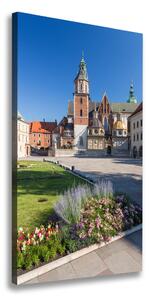 Vertikálny foto obraz na plátne Krakov Poľsko