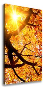 Vertikálny foto obraz na plátne Jesenný strom