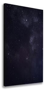 Vertikálny foto obraz canvas Hviezdokopa ocv-90324479