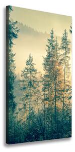 Vertikálny foto obraz na plátne Hmla nad lesom