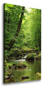 Vertikálny foto obraz canvas Rieka v lese ocv-90680304