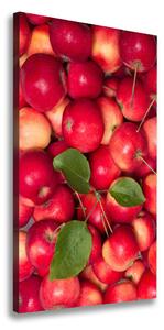 Vertikálny foto obraz na plátne Červená jablká