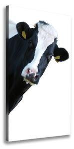 Vertikálny foto obraz na plátne Fľakatá krava