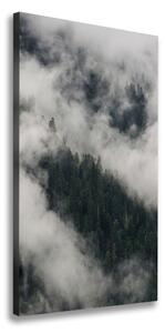 Vertikálny foto obraz na plátne Mrak nad lesom