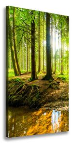 Vertikálny foto obraz na plátne Prameň v lese