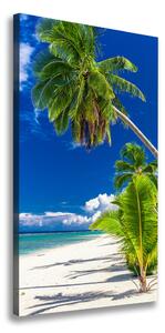 Vertikálny foto obraz na plátne Tropická pláž