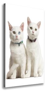 Vertikálny foto obraz na plátne Dve biele mačky
