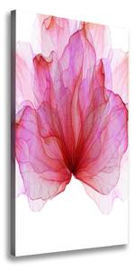 Vertikálny foto obraz canvas Ružový kvet ocv-98648030