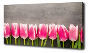 Foto obraz na plátne do obývačky Ružové tulipány