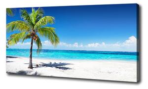 Foto obraz na plátne Tropická pláž oc-102463727