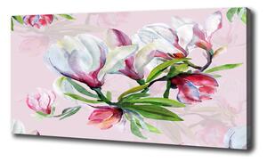 Foto obraz tlačený na plátne Kvety magnolie oc-104301807