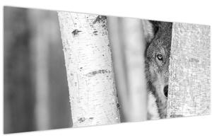 Obraz - Vlk v lese (120x50 cm)