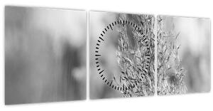 Obraz - Boho pampas grass (s hodinami) (90x30 cm)