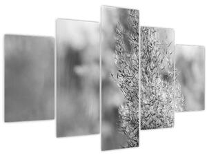 Obraz - Boho pampas grass (150x105 cm)