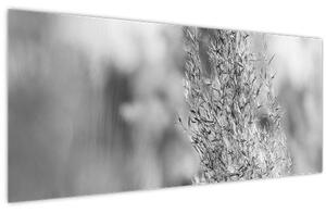 Obraz - Boho pampas grass (120x50 cm)