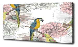 Foto obraz na plátne Papagáje a kvety oc-110762847