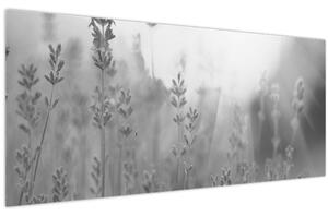 Obraz - Levanduľa (120x50 cm)