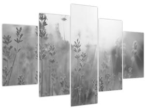 Obraz - Levanduľa (150x105 cm)