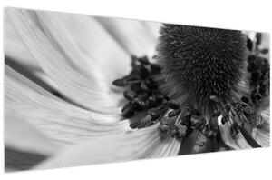 Obraz - Kvetina v čiernobielej (120x50 cm)