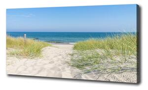 Foto obraz tlačený na plátne Morské duny oc-113707111