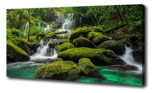 Foto obraz na plátne Vodopád v lese oc-116886736