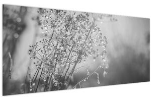 Obraz - Lúka po daždi (120x50 cm)