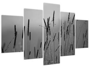 Obraz - Steblá trávy (150x105 cm)