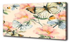 Foto obraz na plátne Motýle a kvety oc-117916209