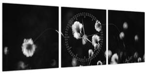 Obraz - Lúka s cottongrass N⁰1 (s hodinami) (90x30 cm)